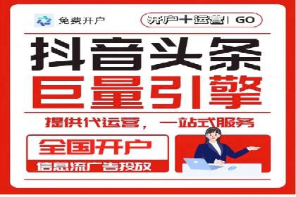 搜索引擎营销（SEM）的投放策略与效果评估——以某行业领先企业的案例分析